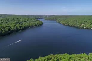 1118 Lake Shore Dr, Oakland, MD 21550 - Photo 99