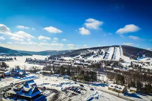 1118 Lake Shore Dr, Oakland, MD 21550 - Photo 85