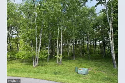 46 Sandstone Circle, Mc Henry, MD 21541 - Photo 3