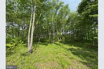 46 Sandstone Circle, Mc Henry, MD 21541 - Photo 5