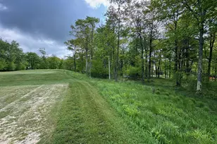 46 Sandstone Cir, Mc Henry, MD 21541 - Photo 1