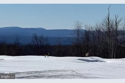 46 Sandstone Circle, Mc Henry, MD 21541 - Photo 29