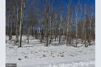 46 Sandstone Circle, Mc Henry, MD 21541 - Photo 25