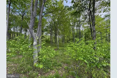 46 Sandstone Circle, Mc Henry, MD 21541 - Photo 9