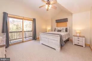 155 Basswood Way, Oakland, MD 21550 - Photo 43