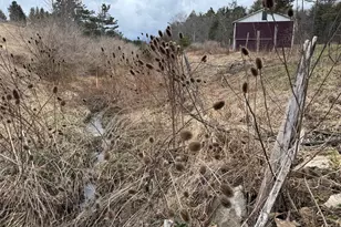 18928 National Pike, Frostburg, MD 21532 - Photo 31