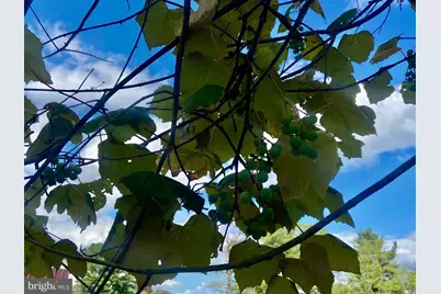 18928 National Pike, Frostburg, MD 21532 - Photo 29