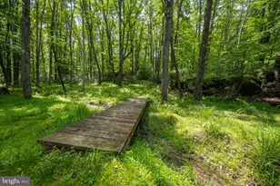 328 Stool Rock Rd, Oakland, MD 21550 - Photo 81