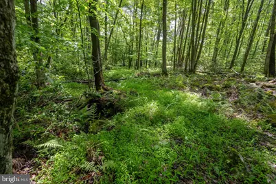 328 Stool Rock Road, Oakland, MD 21550 - Photo 93