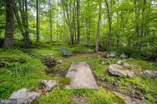 328 Stool Rock Rd, Oakland, MD 21550 - Photo 17