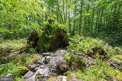 328 Stool Rock Road, Oakland, MD 21550 - Photo 97