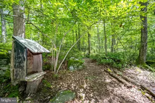 328 Stool Rock Rd, Oakland, MD 21550 - Photo 101