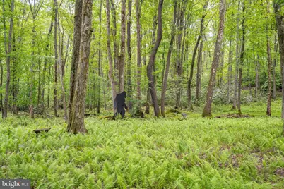 328 Stool Rock Road, Oakland, MD 21550 - Photo 85