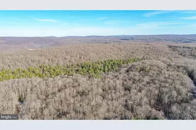 328 Stool Rock Road, Oakland, MD 21550 - Photo 7