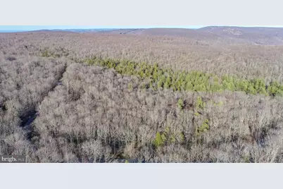 328 Stool Rock Road, Oakland, MD 21550 - Photo 5