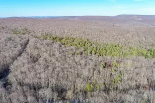 328 Stool Rock Rd, Oakland, MD 21550 - Photo 5