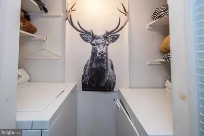 16 Jrs Drive, Mc Henry, MD 21541 - Photo 57