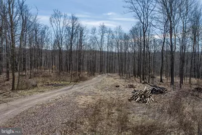 616 Crab Run Road, Grantsville, MD 21536 - Photo 5