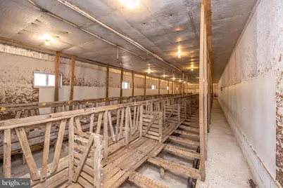 616 Crab Run Road, Grantsville, MD 21536 - Photo 33