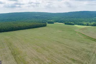 220 Diesel School Rd, Accident, MD 21520 - Photo 79