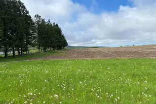 220 Diesel School Rd, Accident, MD 21520 - Photo 5