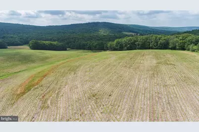 220 Diesel School Road, Accident, MD 21520 - Photo 85