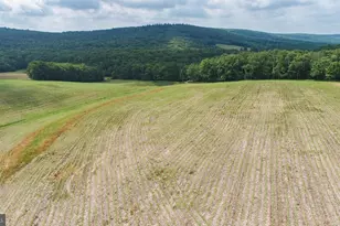 220 Diesel School Rd, Accident, MD 21520 - Photo 85