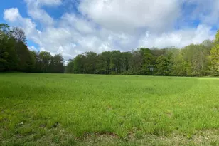 220 Diesel School Rd, Accident, MD 21520 - Photo 47