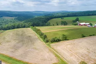 220 Diesel School Rd, Accident, MD 21520 - Photo 83