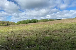 220 Diesel School Rd, Accident, MD 21520 - Photo 43