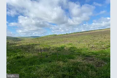 220 Diesel School Road, Accident, MD 21520 - Photo 41