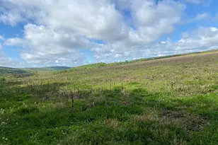 220 Diesel School Rd, Accident, MD 21520 - Photo 41