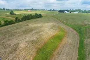 220 Diesel School Rd, Accident, MD 21520 - Photo 91