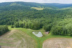 220 Diesel School Rd, Accident, MD 21520 - Photo 87