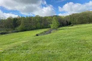 220 Diesel School Rd, Accident, MD 21520 - Photo 45