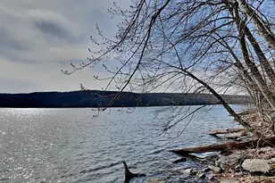 3067 Shingle Camp Rd, Mc Henry, MD 21541 - Photo 39