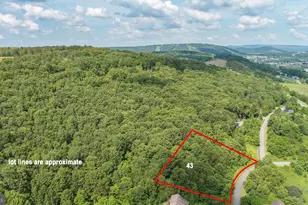 43 Smiley Face Ln, Mc Henry, MD 21541 - Photo 1