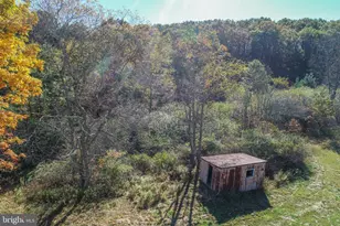 5202 Hutton Rd, Oakland, MD 21550 - Photo 49