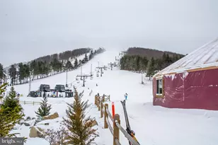 290 Marsh Hill Rd, Mc Henry, MD 21541 - Photo 45