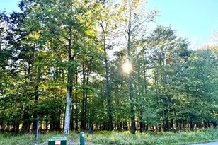 60 Sundance Way, Mc Henry, MD 21541 - Photo 1