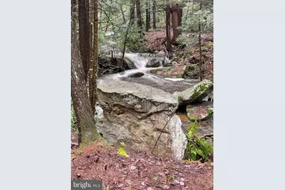 285 Lake Shore Drive, Oakland, MD 21550 - Photo 25