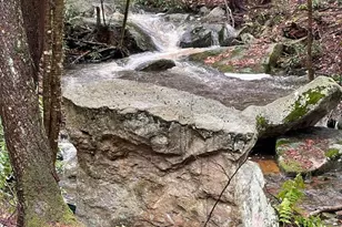 285 Lake Shore Dr, Oakland, MD 21550 - Photo 25