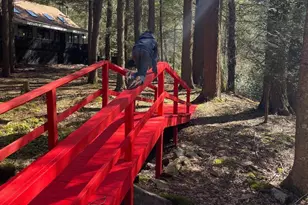 285 Lake Shore Dr, Oakland, MD 21550 - Photo 23