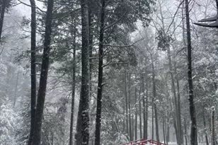 285 Lake Shore Dr, Oakland, MD 21550 - Photo 29