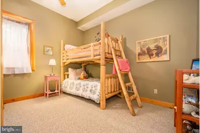 294 N Shoreline Drive, Swanton, MD 21561 - Photo 43