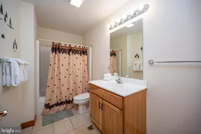 329 Lemley Drive, Oakland, MD 21550 - Photo 57