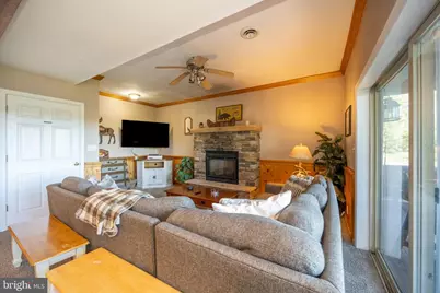 340 Grandview Drive, Oakland, MD 21550 - Photo 61