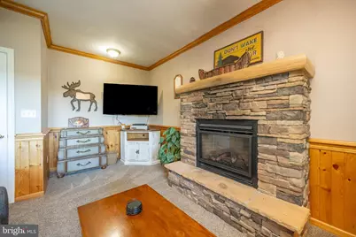 340 Grandview Drive, Oakland, MD 21550 - Photo 59