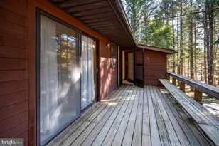 144 Deer Run Ln, Swanton, MD 21561 - Photo 59