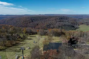 353 Lower Camp Road, Mc Henry, MD 21541 - Photo 65